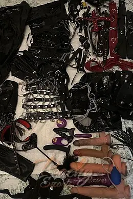 Polly gallery image 23