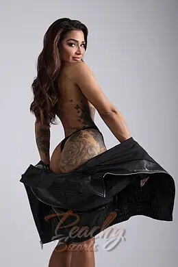 Kaz gallery image 10